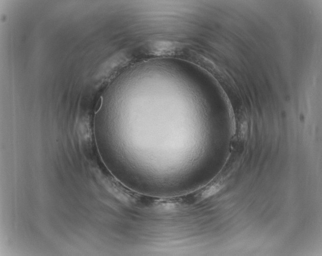 X0000076230620200609281114