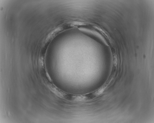 X0000076230621200609281114
