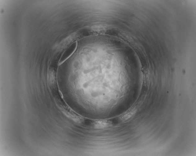 X0000076230623200609281114