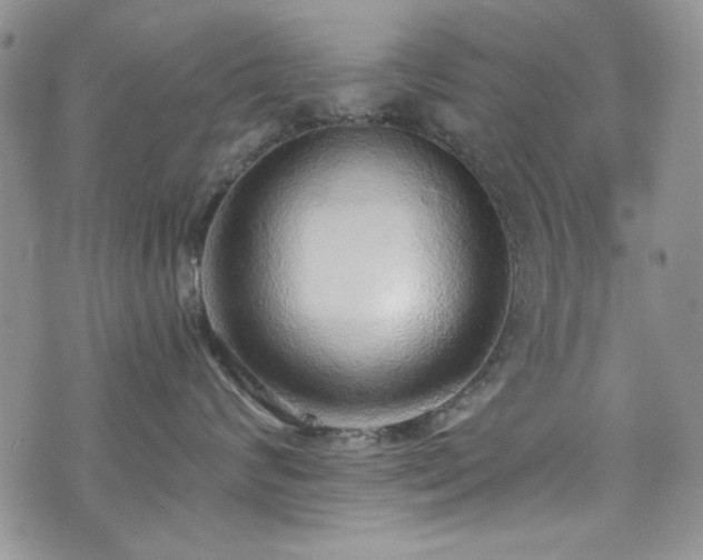 X0000076230624200609281114