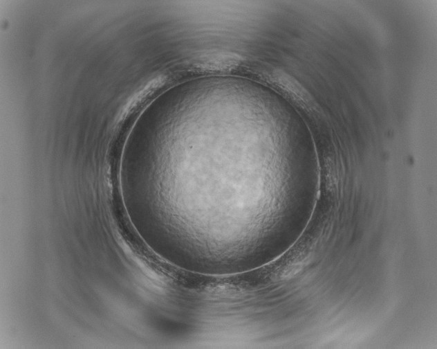 X0000076230634200609281113