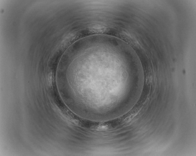 X0000076230647200609281113