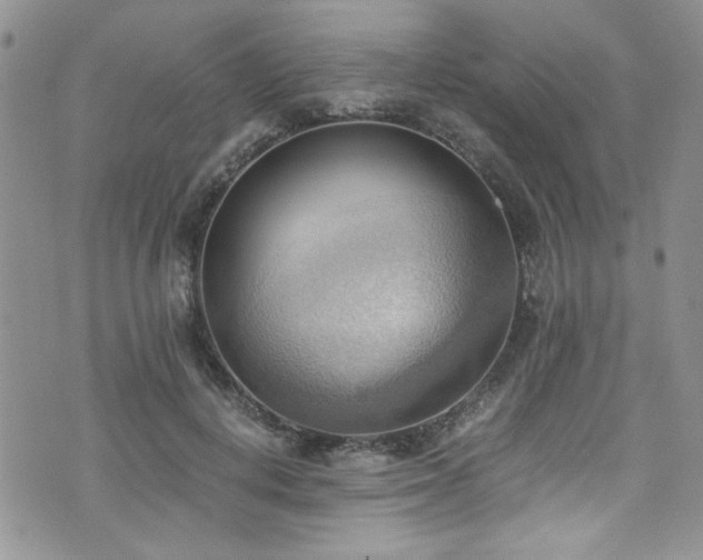 X0000076230648200609281113