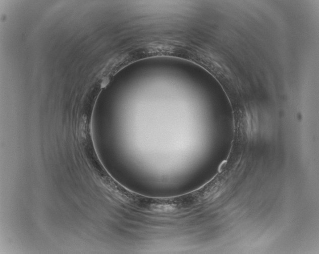 X0000076230649200609281113