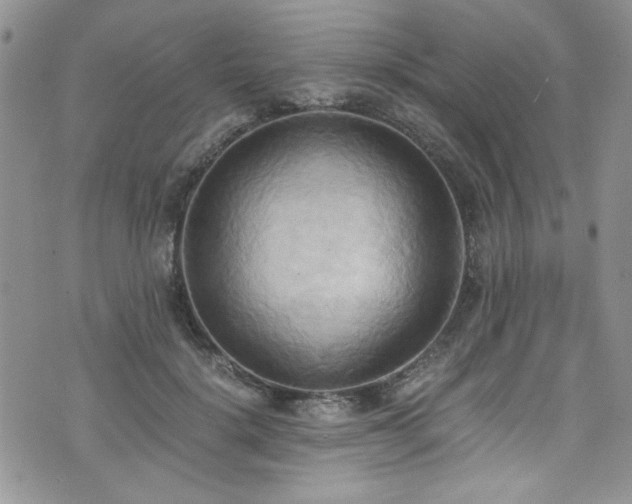 X0000076230652200609281113