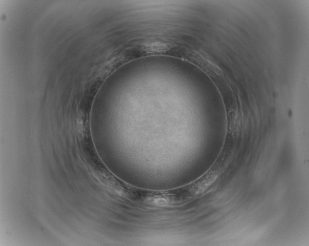 X0000076230655200609281113