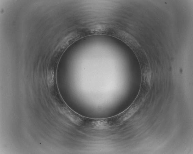 X0000076230660200609281114