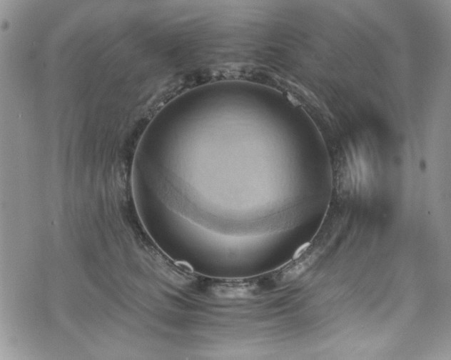 X0000076230661200609281114
