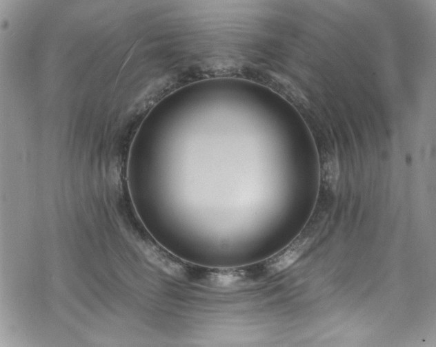 X0000076230662200609281114