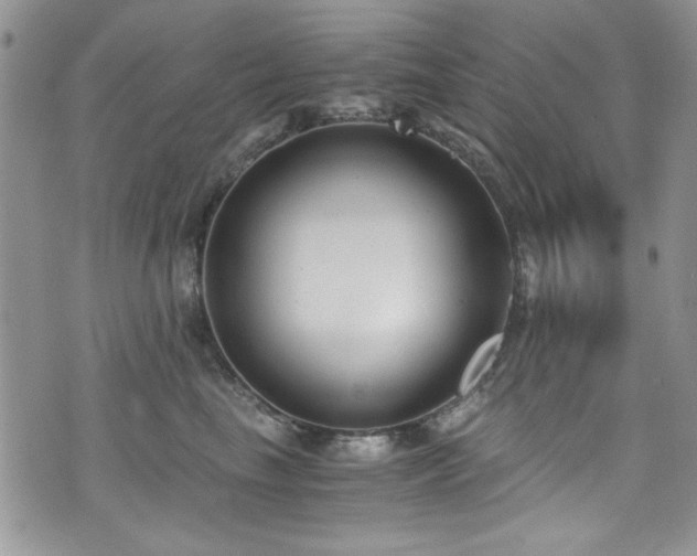 X0000076230665200609281114