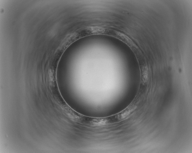 X0000076230667200609281114