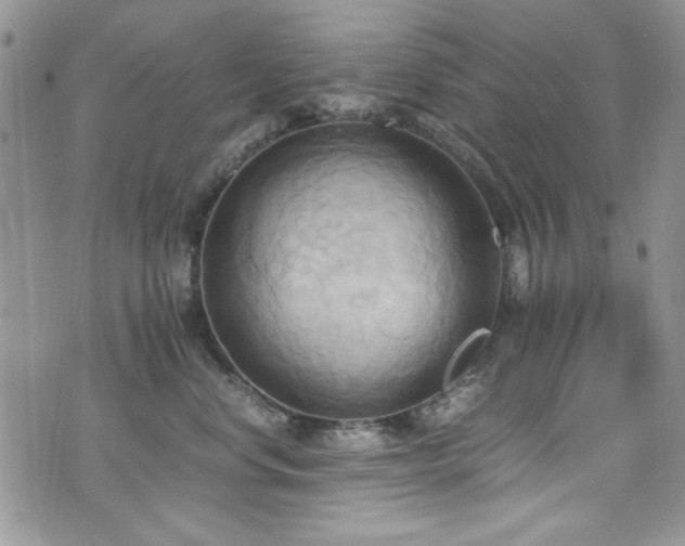 X0000076230668200609281114