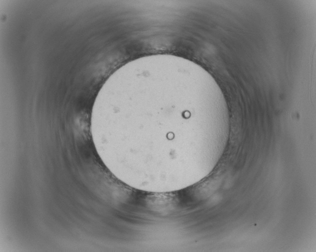 X0000076230672200609281114