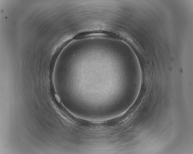 X0000076230677200609281113