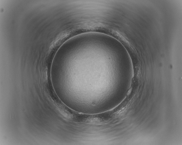 X0000076230685200609281113