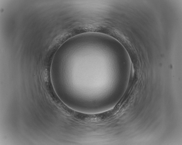 X0000076230689200609281113