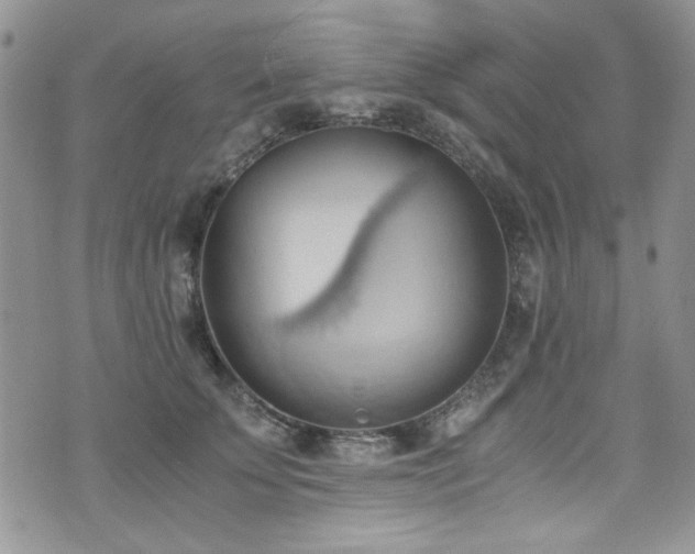 X0000076230707200609281112