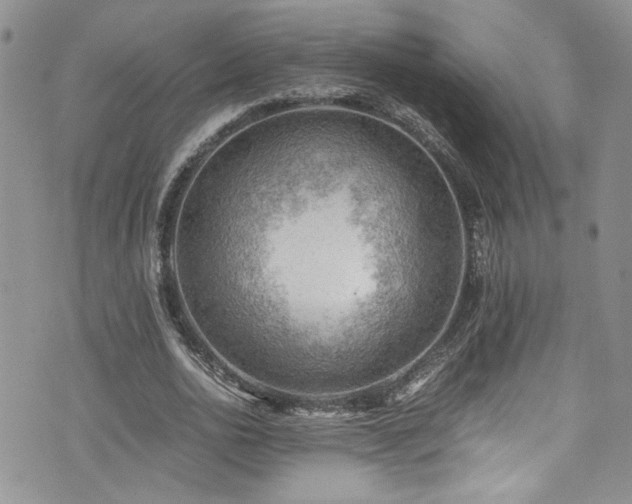 X0000076230726200609281111