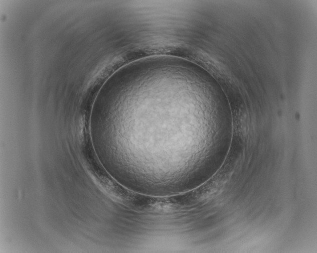 X0000076230742200609281112