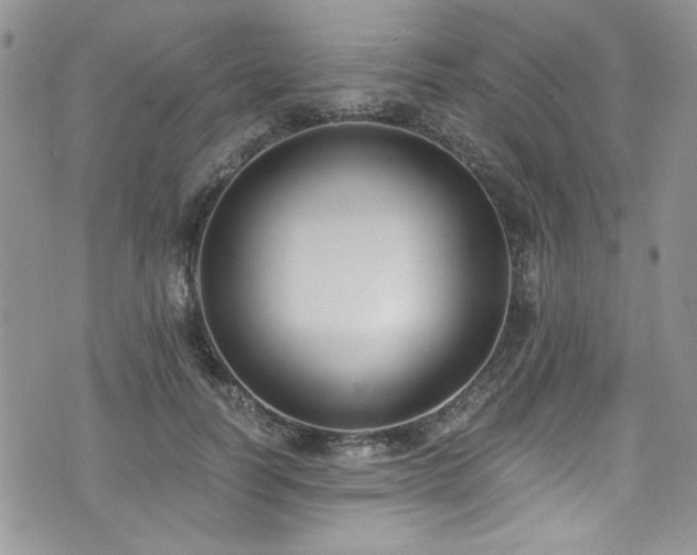 X0000076230746200609281112
