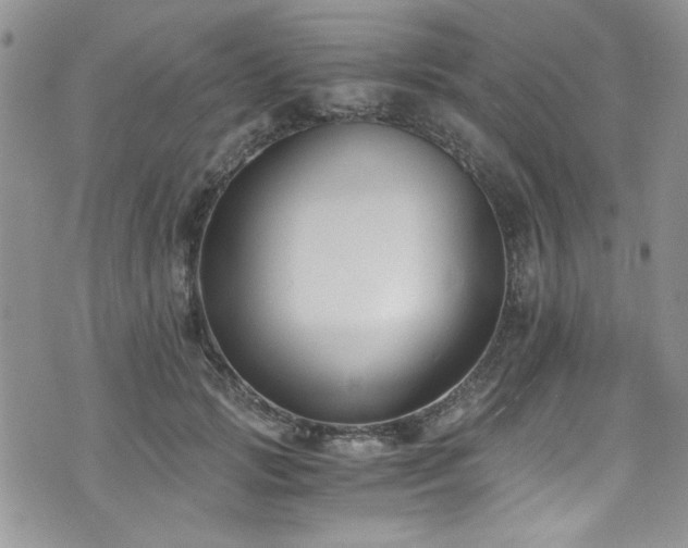 X0000076230749200609281112