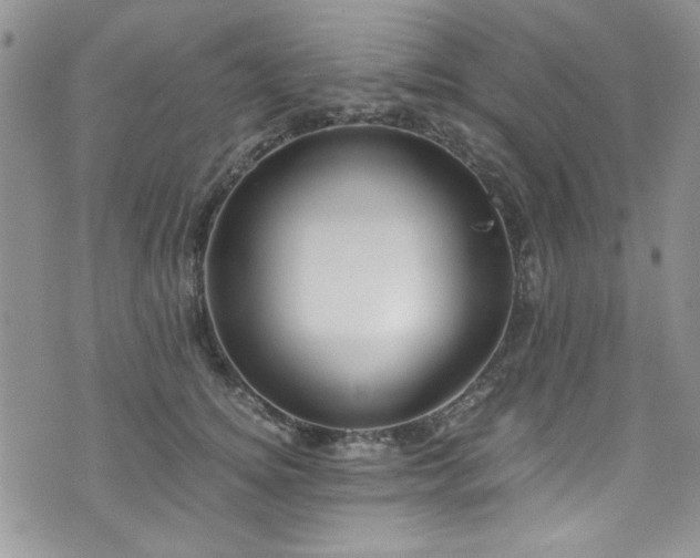 X0000076230756200609281112