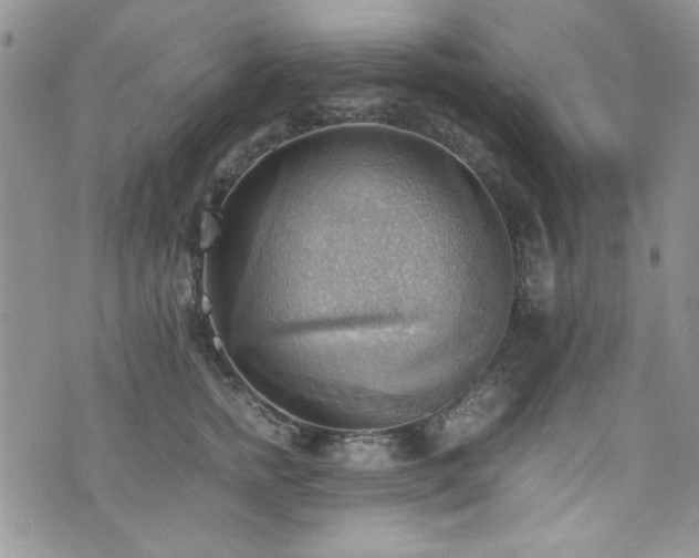 X0000076230758200609281112