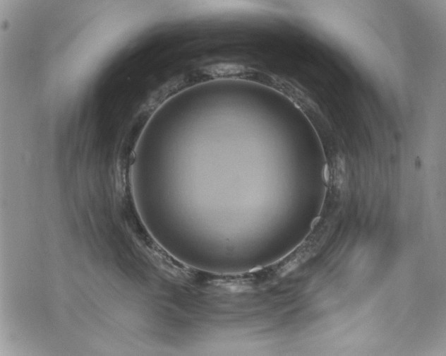 X0000076230763200609281112