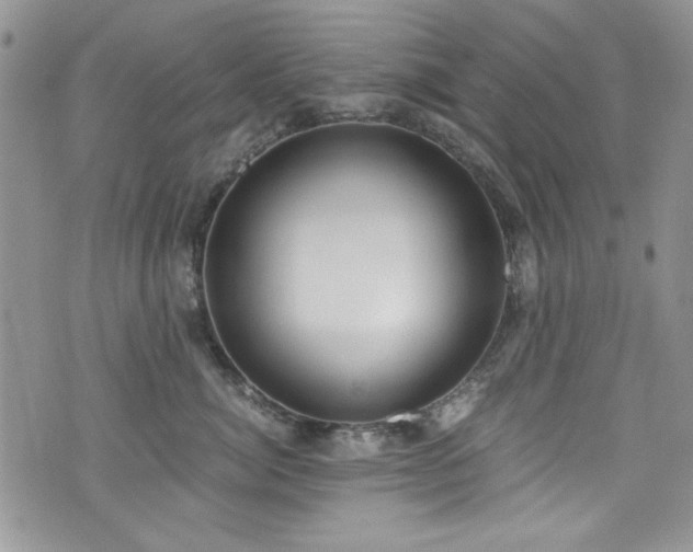 X0000076230764200609281112