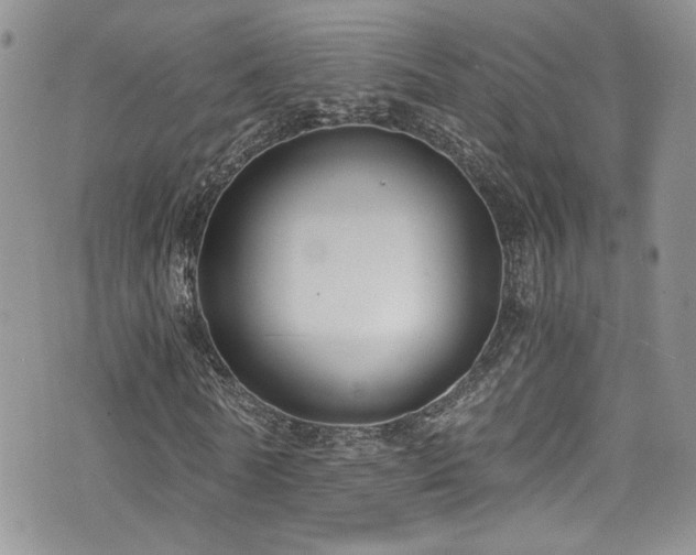 X0000076230770200609281111