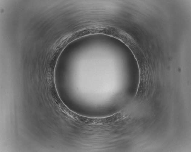 X0000076230773200609281111