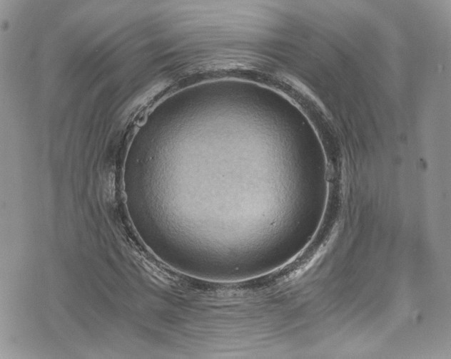 X0000076230777200609281111