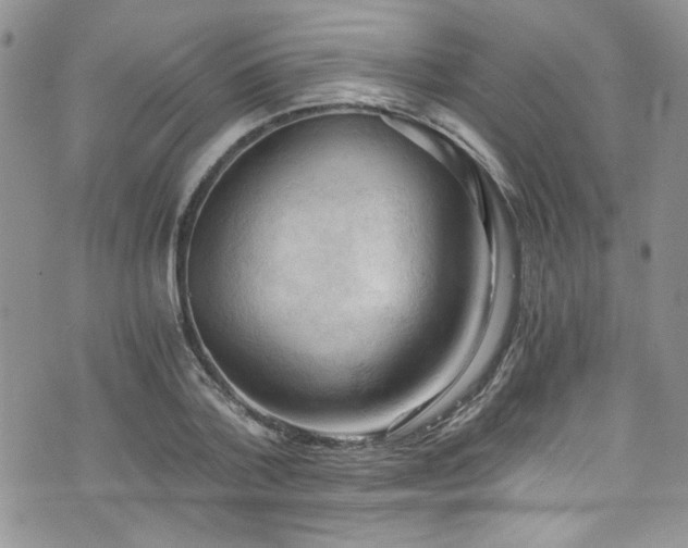 X0000076230788200609281111