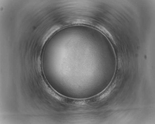 X0000076230798200609281111