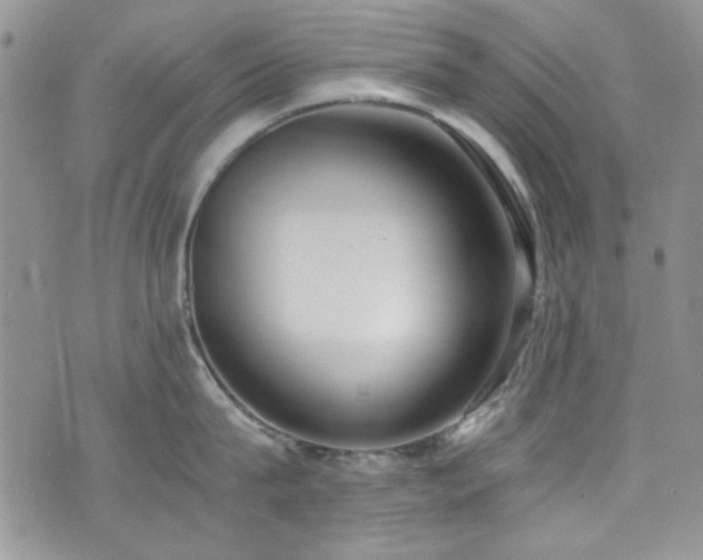 X0000076230815200609281111