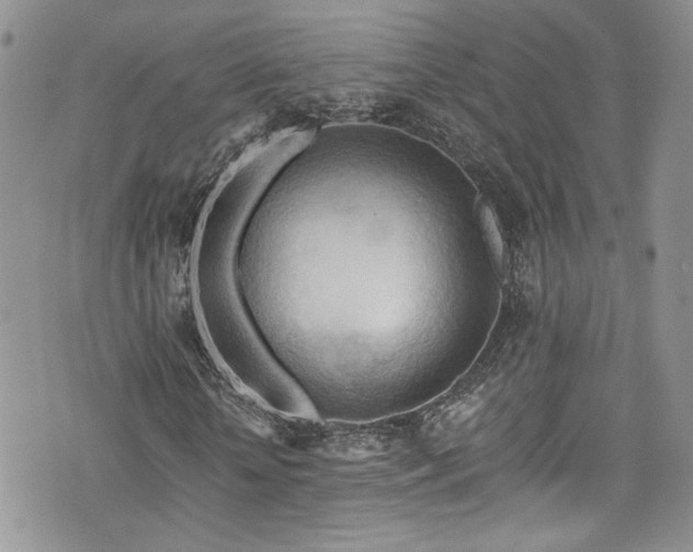 X0000076230818200609281110