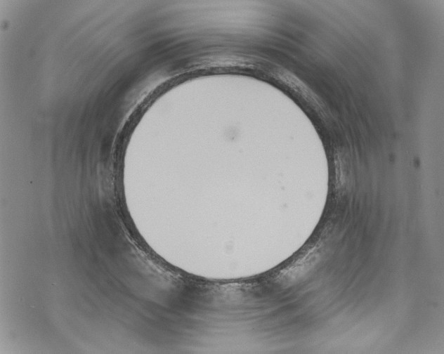 X0000076230828200609281110