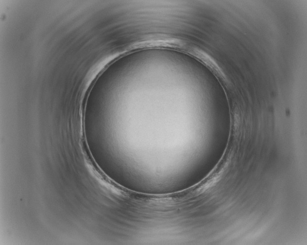 X0000076230844200609281110