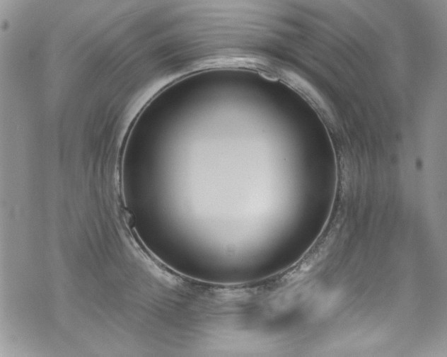 X0000076230852200609281110