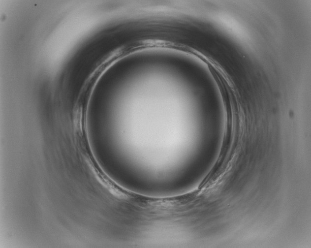 X0000076230862200609281110