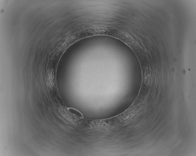X0000076230866200609281110