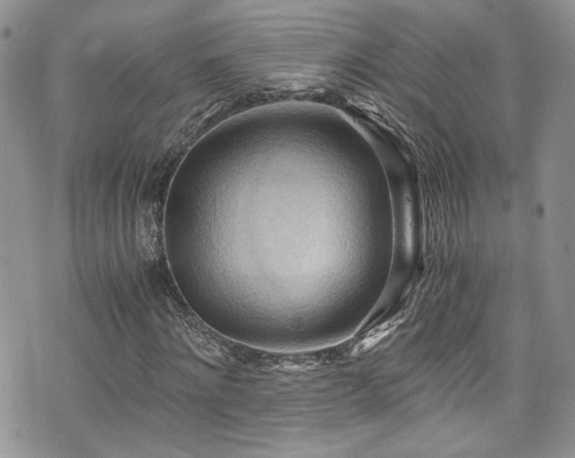 X0000076230868200609281110