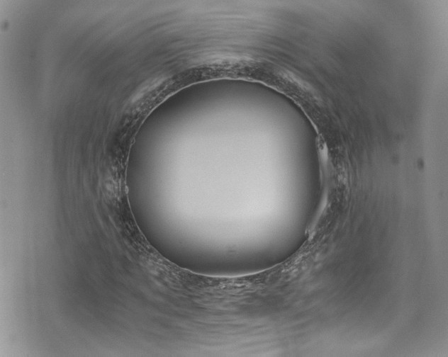 X0000076230869200609281110