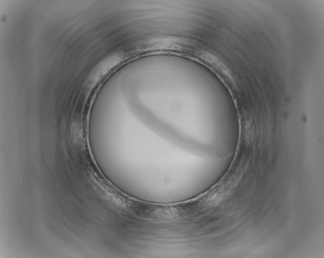 X0000076230882200609281109