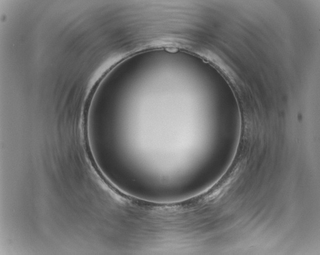 X0000076230902200609281109
