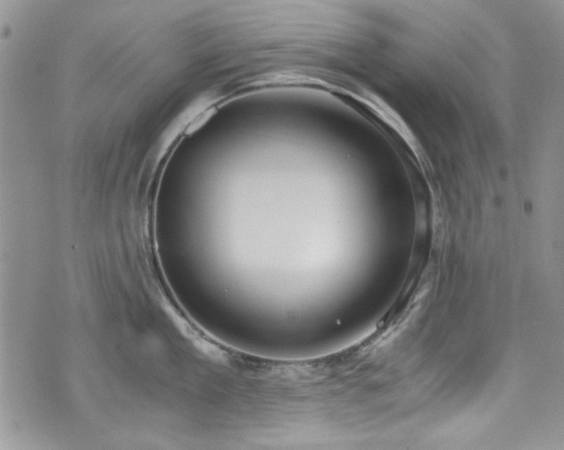 X0000076230909200609281109
