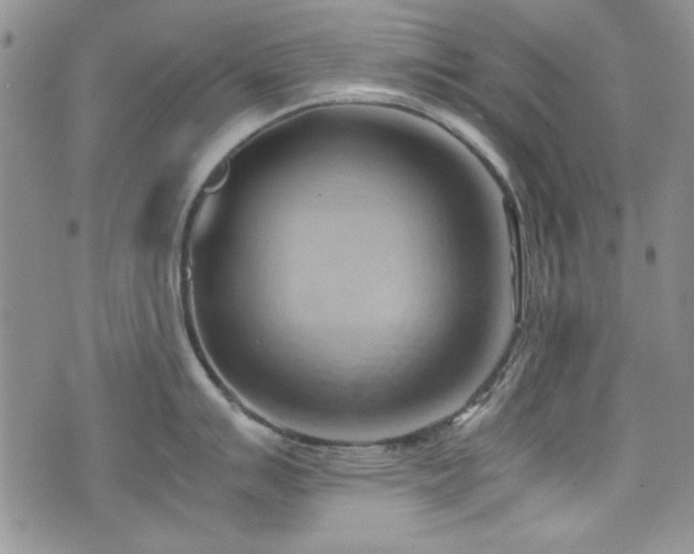 X0000076231007200609281107