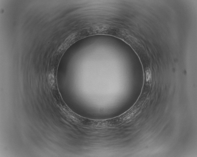 X0000076231011200609281107