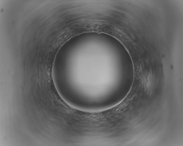 X0000076231013200609281107