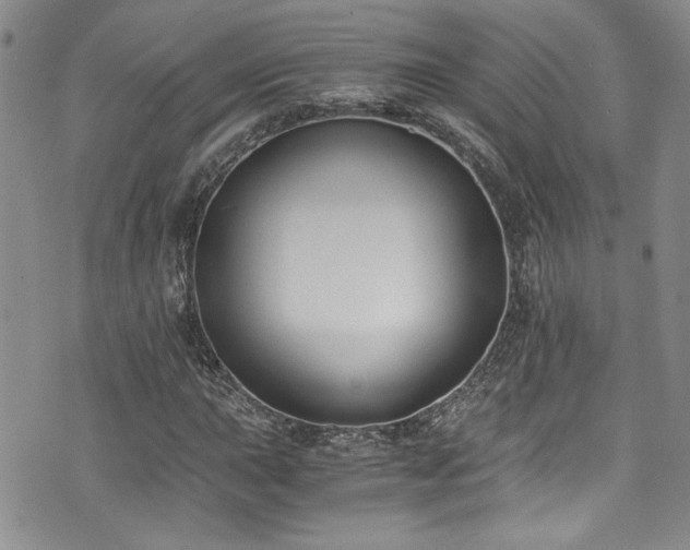 X0000076231015200609281107